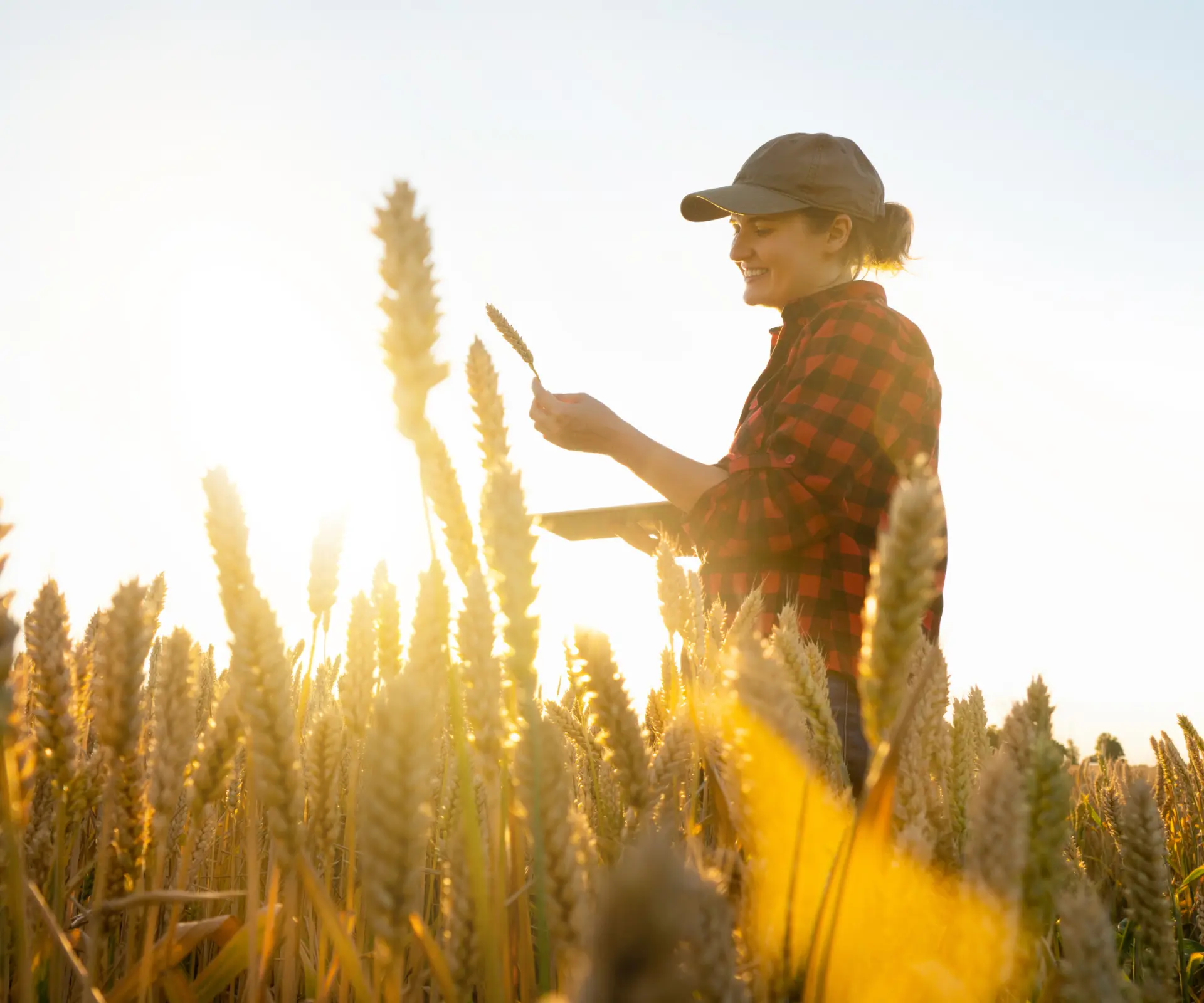 Access to mental health services for rural and remote mums in WA boosted through new partnership